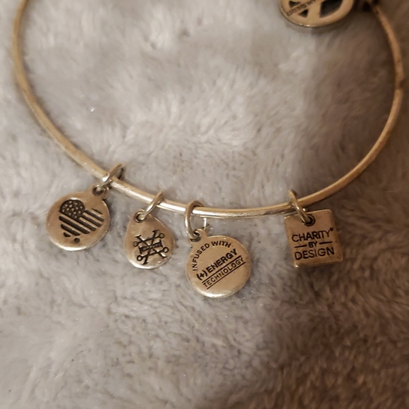 Alex and Ani Bangle - Picture 2 of 8